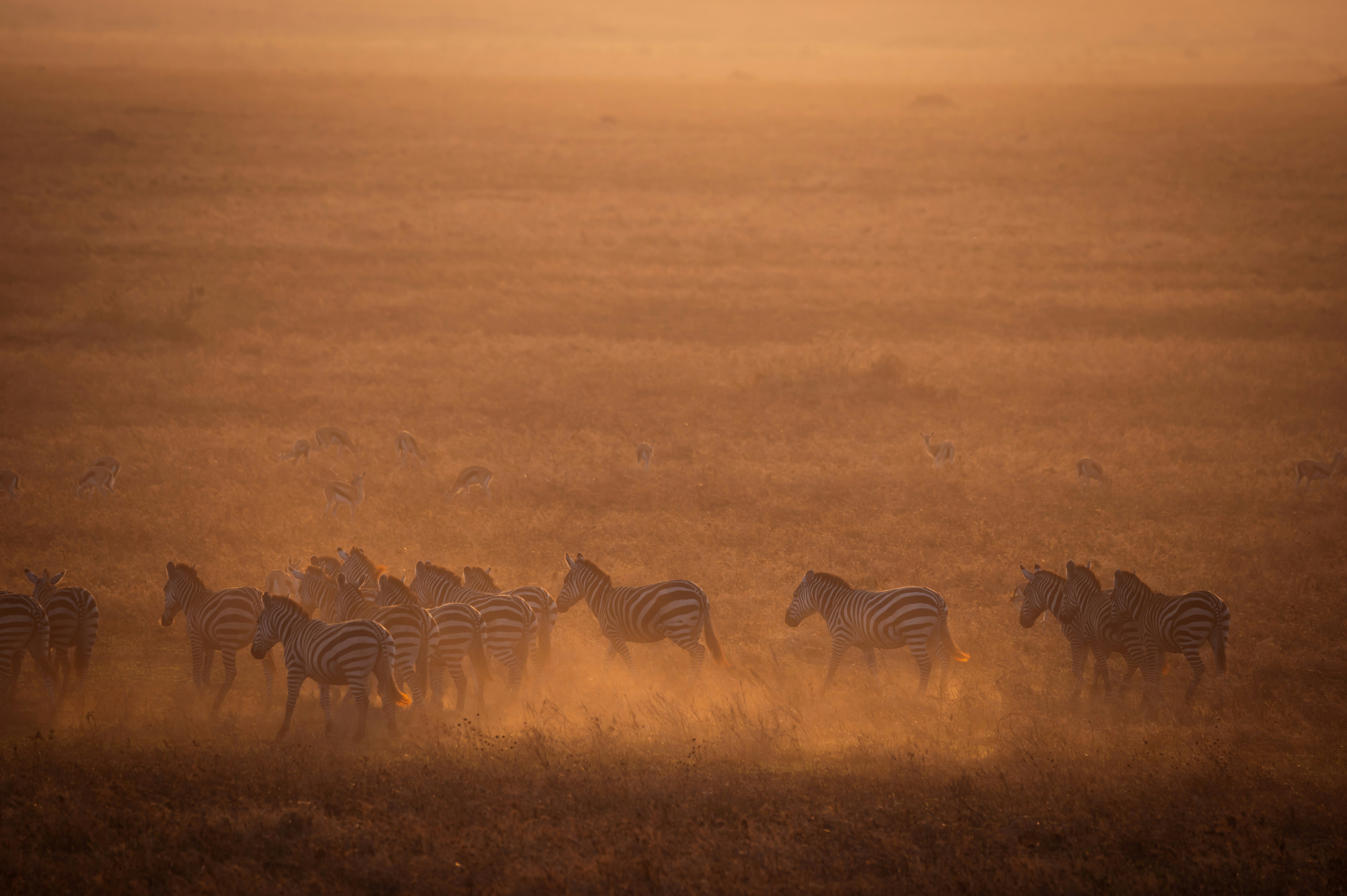 Tarangire National Park